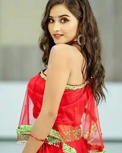 Call Girls Service Balasinor